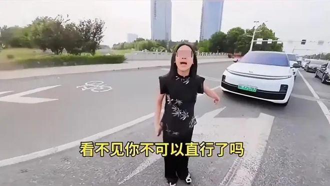 后续：女司机气到流产公布完整行车记录仪凯发K8国际娱乐河北女司机与骑手冲突(图10)